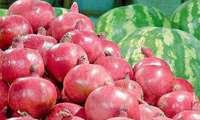 نظارت ویژه بر بازار شب یلدا در گچساران